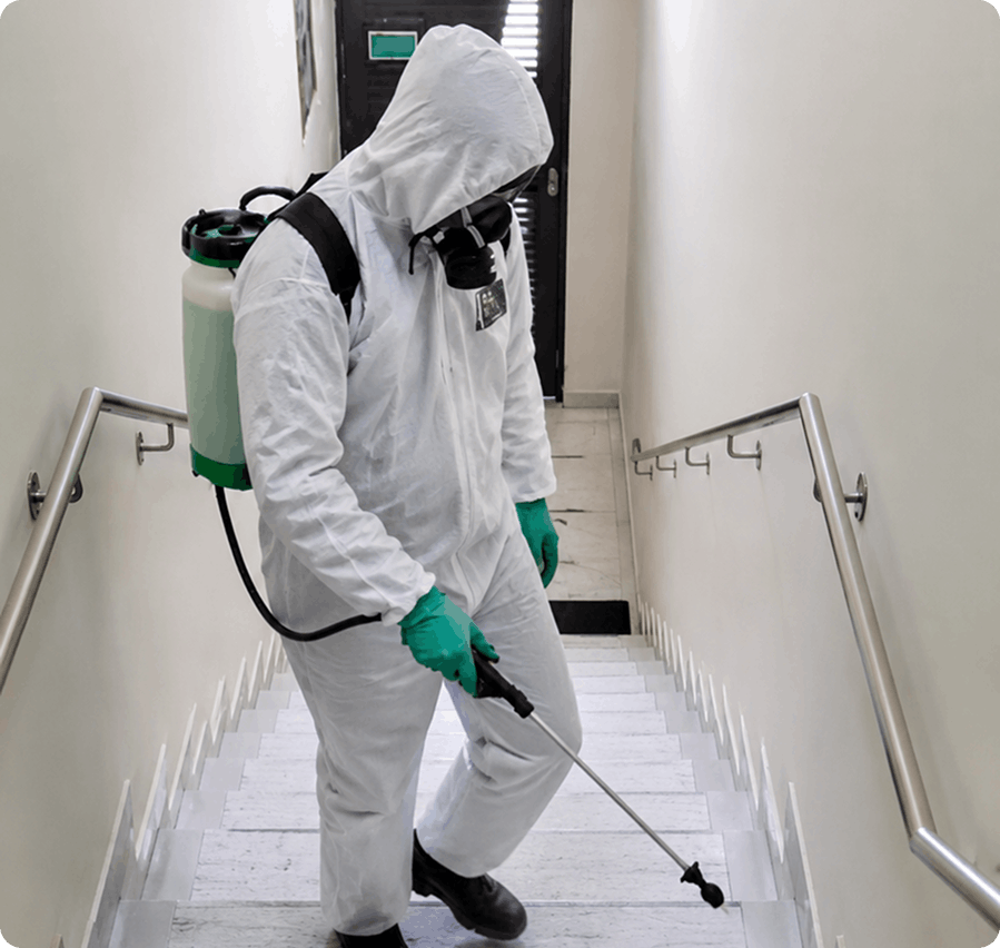 Profissional realizando controle de pragas em uma área interna